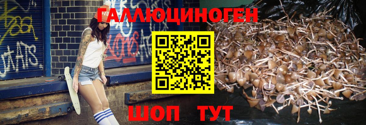 Псилоцибиновые грибы мухоморы  Вход с VPN  Звенигород 